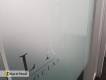 SignAndFitouts - Window Graphics 02